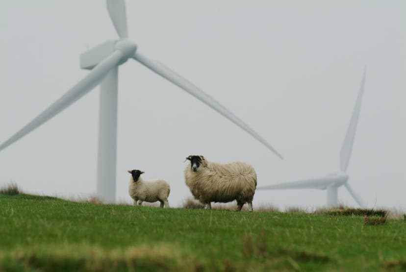 Why windfarms and electricity pylons have become a major issue in the Senedd election