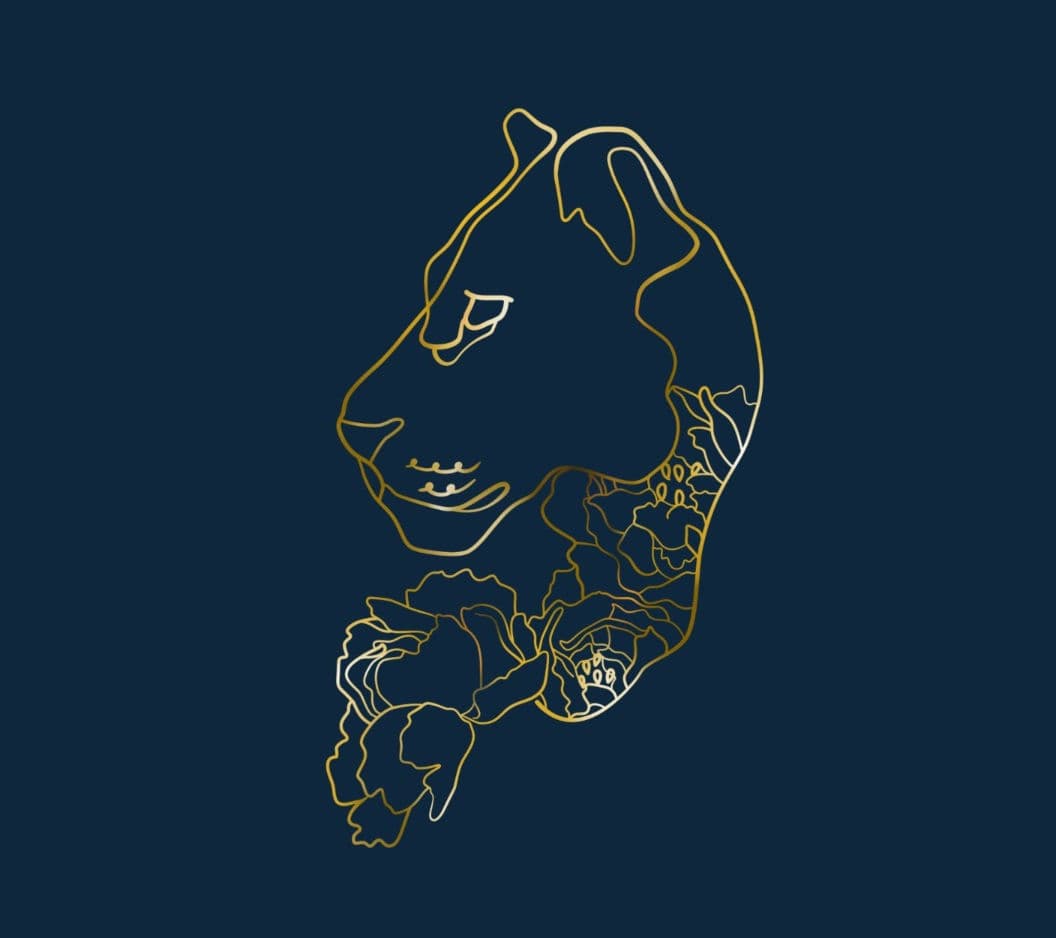 Lioness & Ink cover image